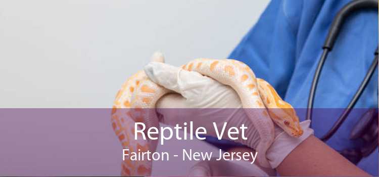 Reptile Vet Fairton - New Jersey
