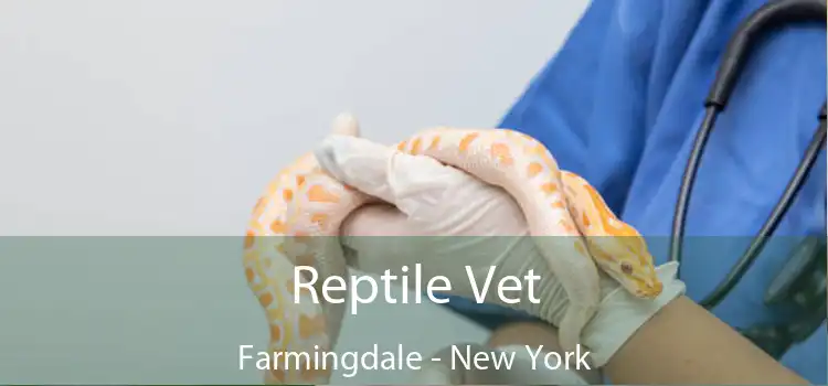 Reptile Vet Farmingdale - New York