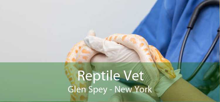 Reptile Vet Glen Spey - New York