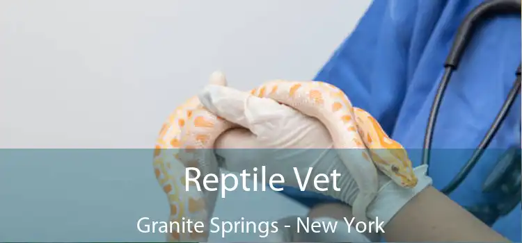 Reptile Vet Granite Springs - New York