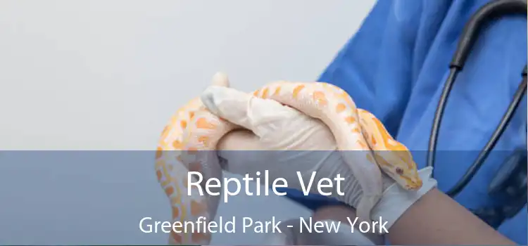 Reptile Vet Greenfield Park - New York