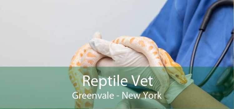 Reptile Vet Greenvale - New York