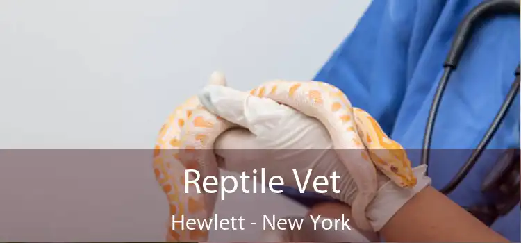 Reptile Vet Hewlett - New York