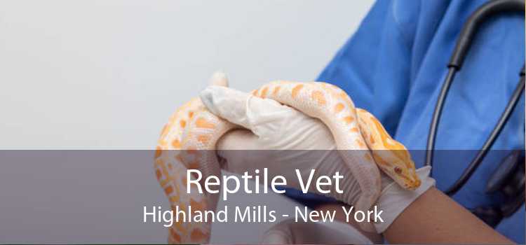 Reptile Vet Highland Mills - New York