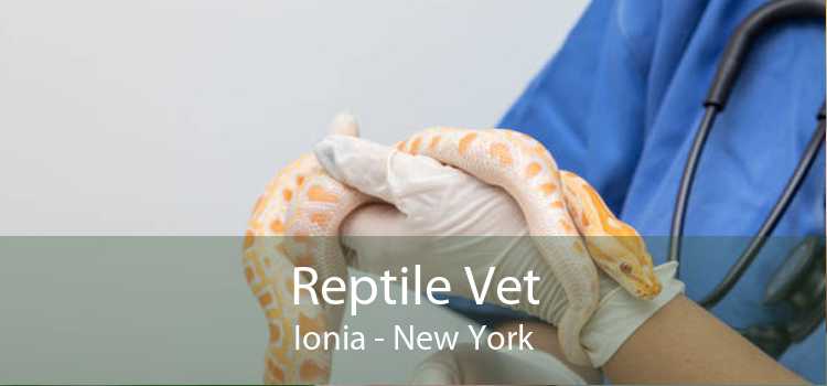 Reptile Vet Ionia - New York