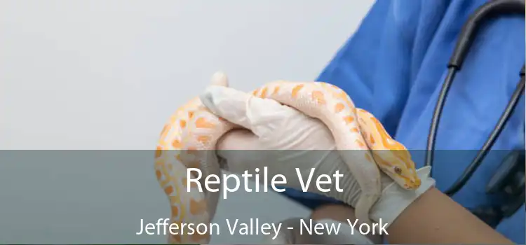Reptile Vet Jefferson Valley - New York
