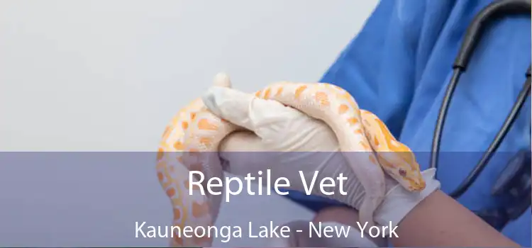 Reptile Vet Kauneonga Lake - New York