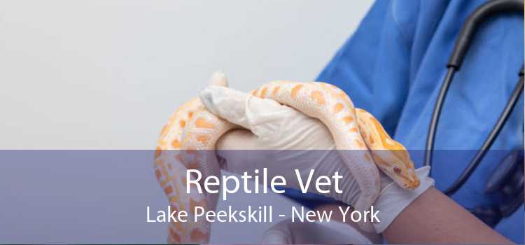 Reptile Vet Lake Peekskill - New York