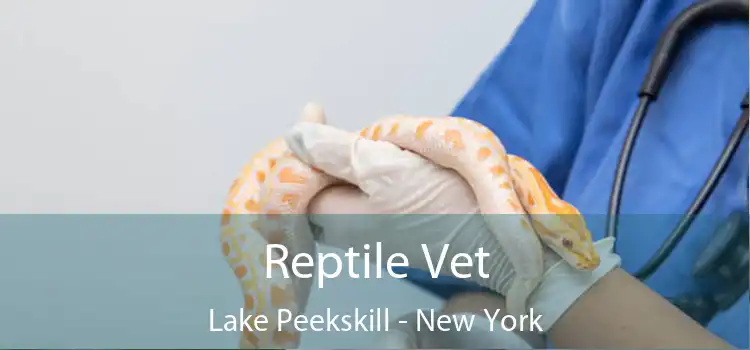 Reptile Vet Lake Peekskill - New York