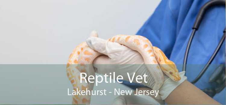 Reptile Vet Lakehurst - New Jersey