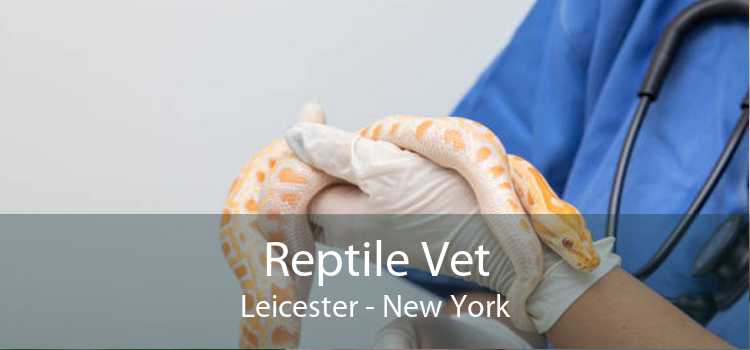 Reptile Vet Leicester - New York
