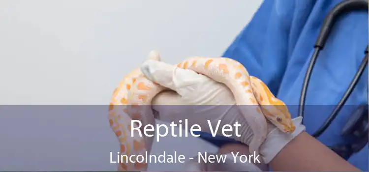 Reptile Vet Lincolndale - New York
