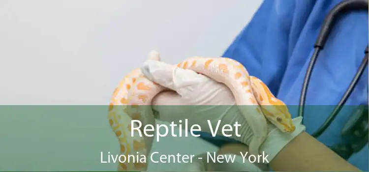 Reptile Vet Livonia Center - New York