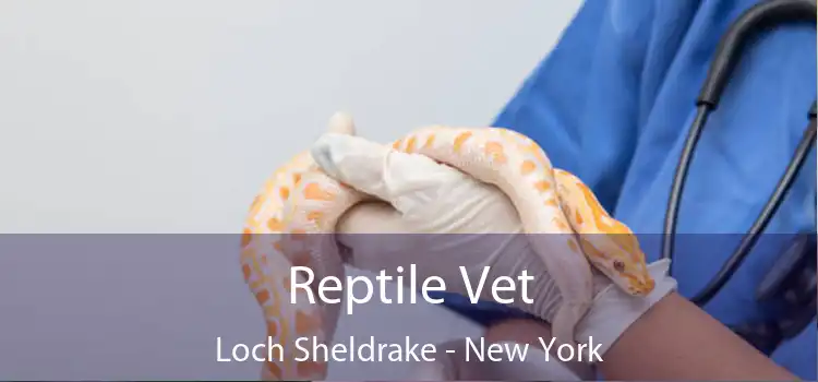 Reptile Vet Loch Sheldrake - New York