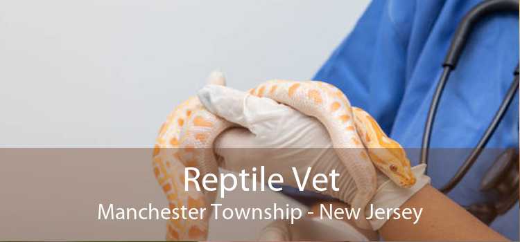 Reptile Vet Manchester Township - New Jersey