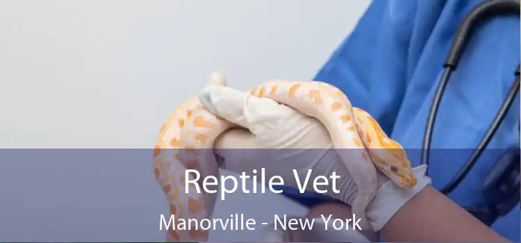 Reptile Vet Manorville - New York