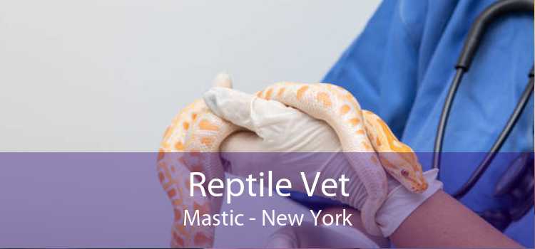 Reptile Vet Mastic - New York