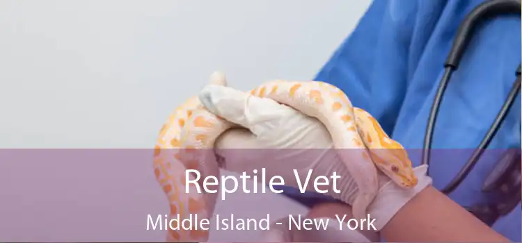 Reptile Vet Middle Island - New York