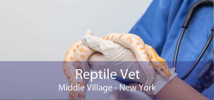 Reptile Vet Middle Village - New York