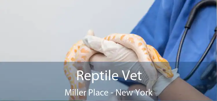 Reptile Vet Miller Place - New York
