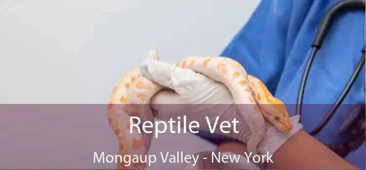 Reptile Vet Mongaup Valley - New York