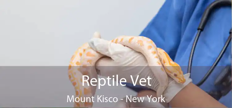 Reptile Vet Mount Kisco - New York