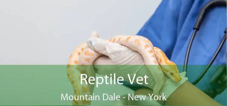 Reptile Vet Mountain Dale - New York