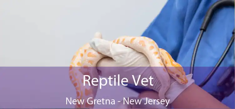 Reptile Vet New Gretna - New Jersey