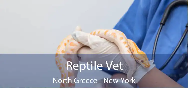 Reptile Vet North Greece - New York