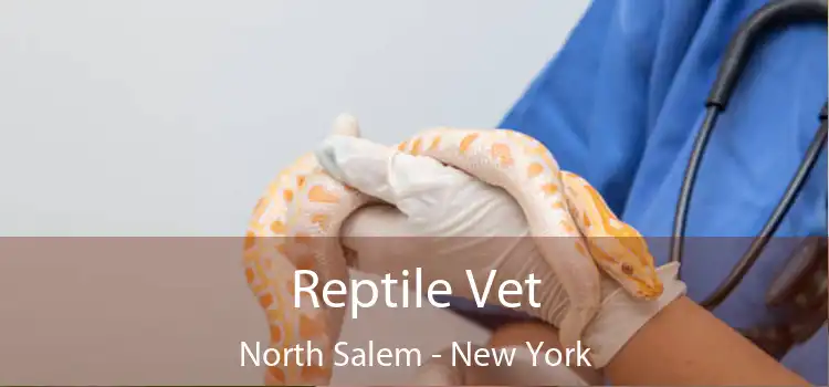 Reptile Vet North Salem - New York
