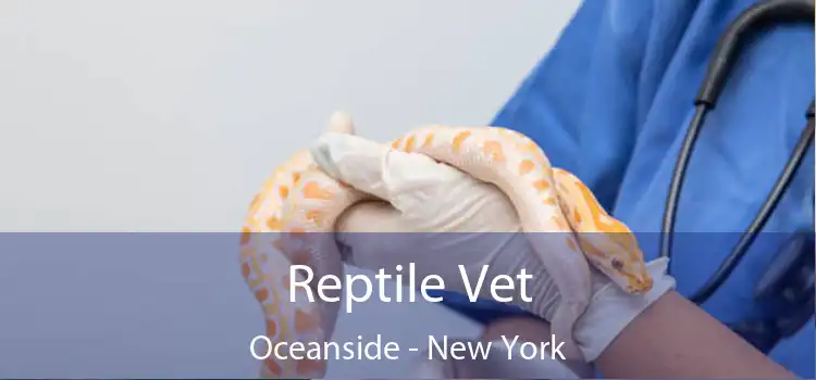 Reptile Vet Oceanside - New York
