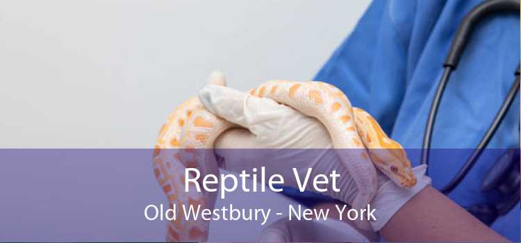 Reptile Vet Old Westbury - New York