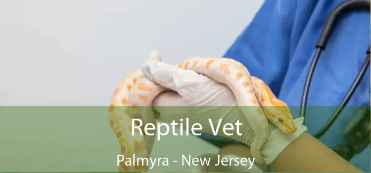 Reptile Vet Palmyra - New Jersey