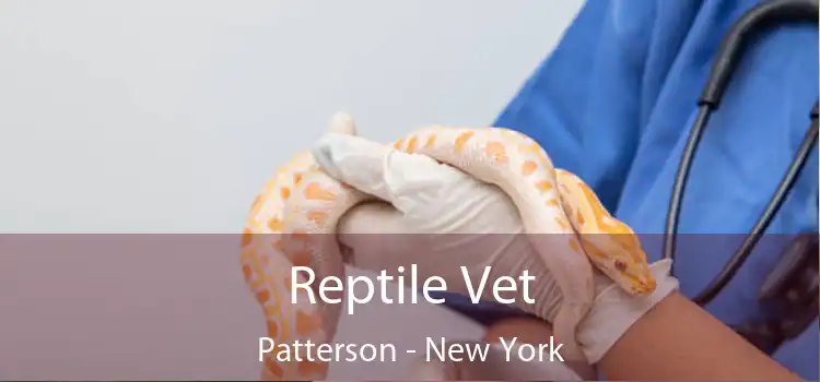 Reptile Vet Patterson - New York
