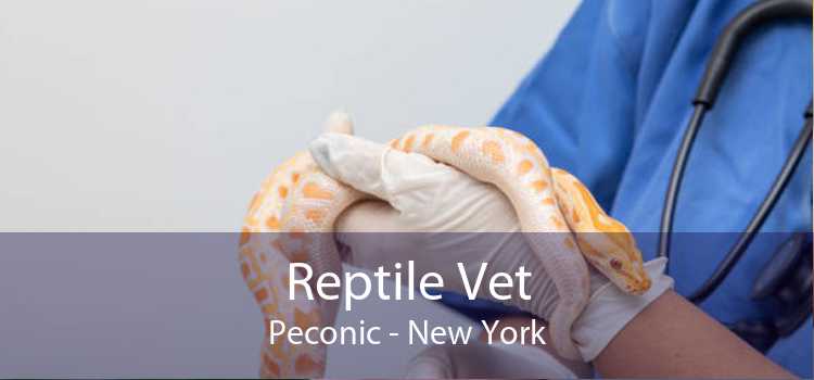 Reptile Vet Peconic - New York