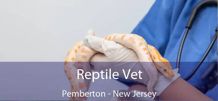 Reptile Vet Pemberton - New Jersey