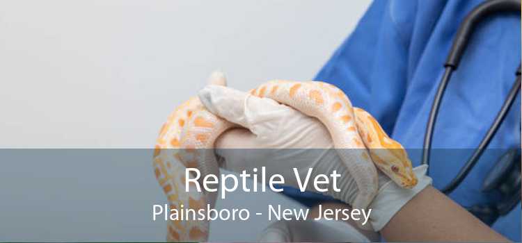 Reptile Vet Plainsboro - New Jersey
