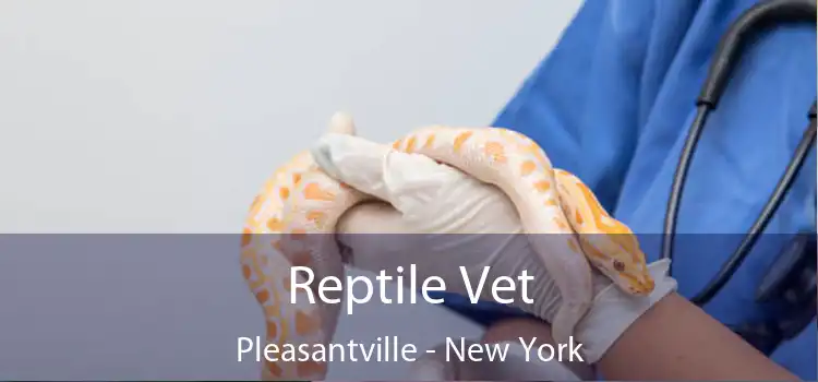 Reptile Vet Pleasantville - New York