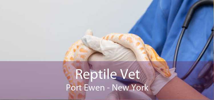 Reptile Vet Port Ewen - New York