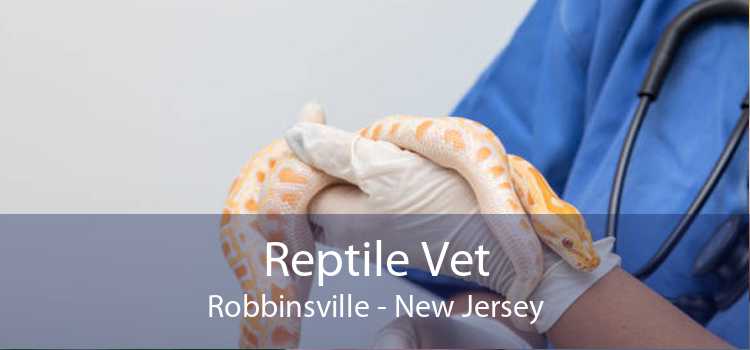 Reptile Vet Robbinsville - New Jersey