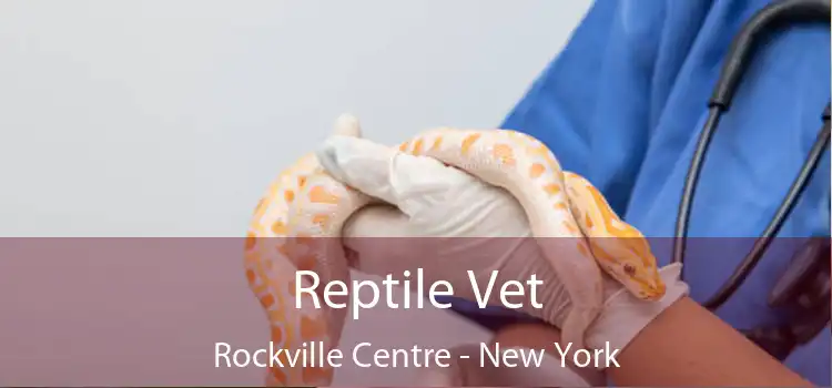 Reptile Vet Rockville Centre - New York