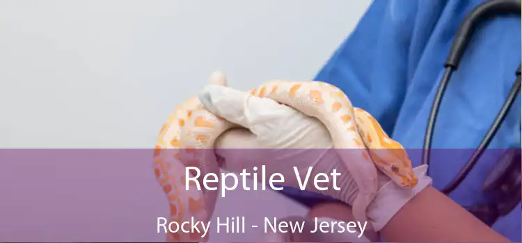 Reptile Vet Rocky Hill - New Jersey