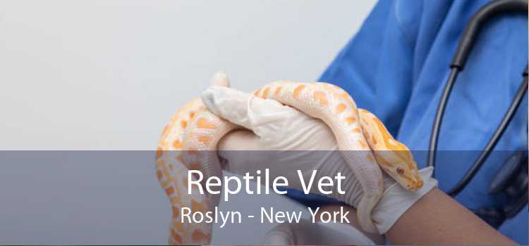 Reptile Vet Roslyn - New York
