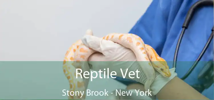 Reptile Vet Stony Brook - New York