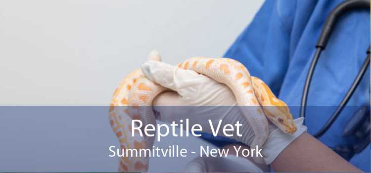 Reptile Vet Summitville - New York