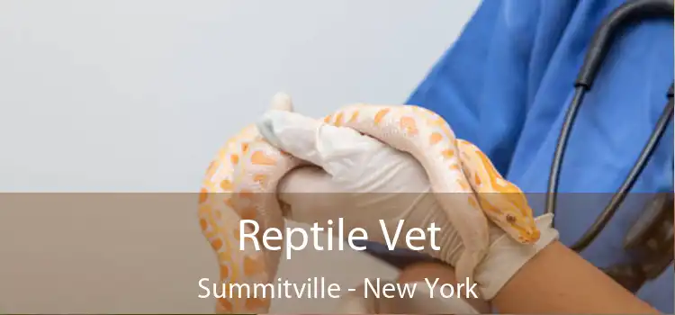 Reptile Vet Summitville - New York