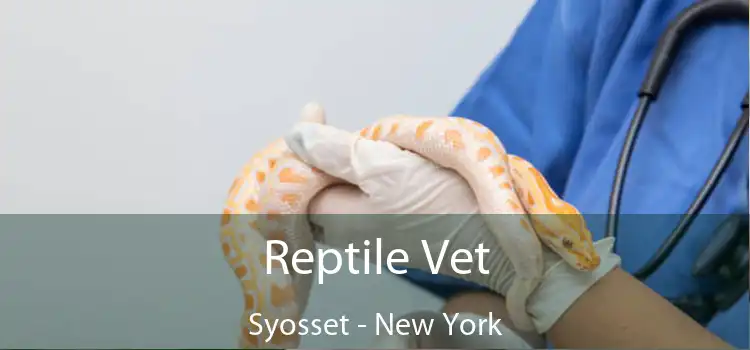 Reptile Vet Syosset - New York