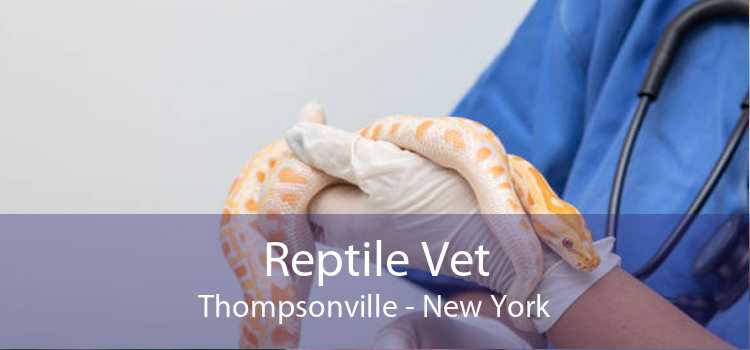 Reptile Vet Thompsonville - New York