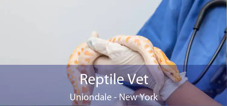 Reptile Vet Uniondale - New York