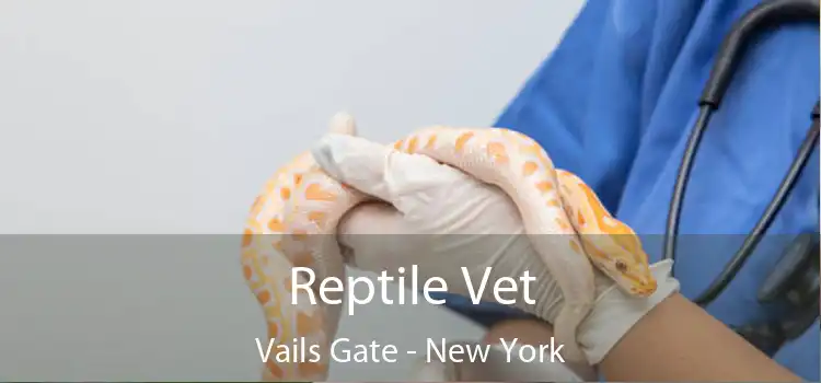 Reptile Vet Vails Gate - New York
